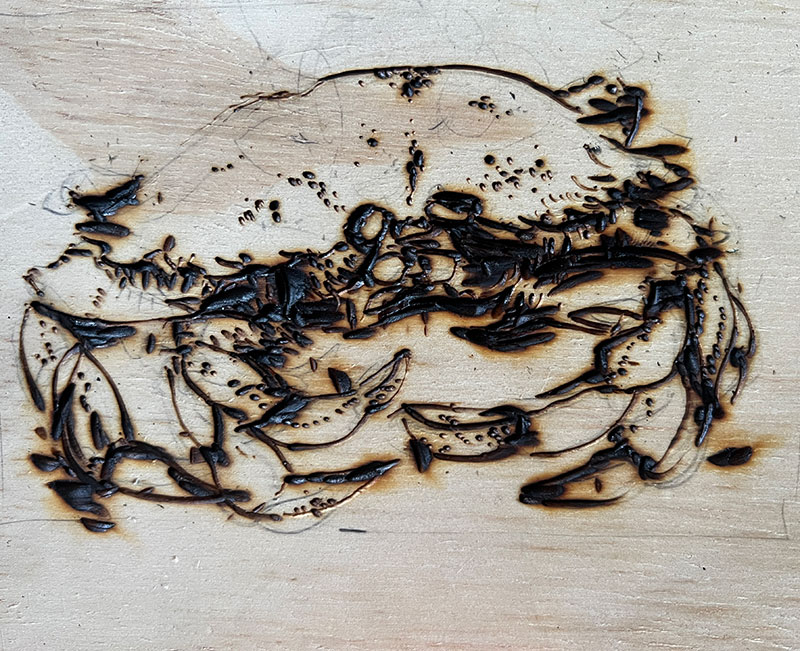 clara pyrography  crab