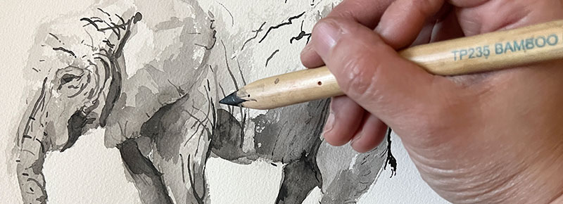 ink wash drawing elephant banner