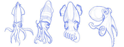 Jordan McCracken-Foster