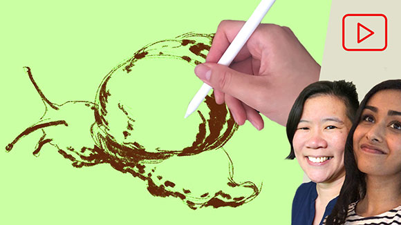 Procreate Animation: Snails