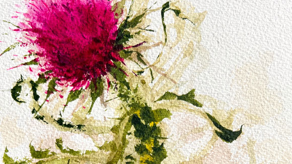 Clara watercolor painting banner